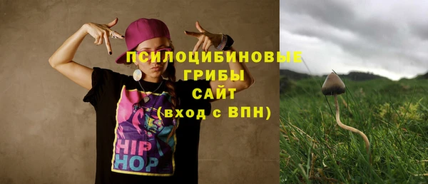 ешки Костерёво