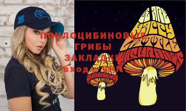 хмурый Коряжма